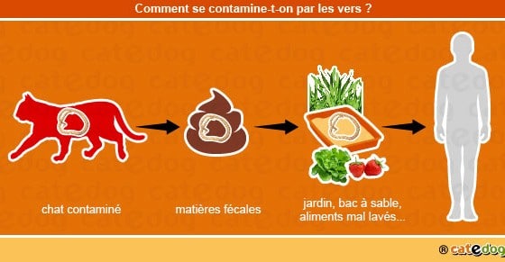 Maladie du cri du chat france 5