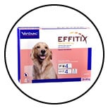 traitement-effitix-puce-tique-phlébotome-chien