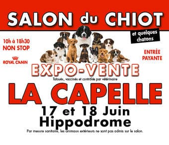 Salon du chiot de La Capelle – Conseils vétérinaires Salon du chiot de La Capelle – Conseils vétérinaires