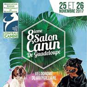 Chat sexe bastia
