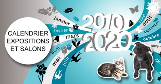 Salons Du Chiot 2020 Expositions De Chiens Conseil Véto