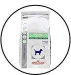 dental-care-chien-royal-canin