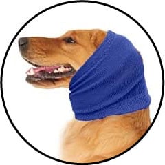 Protège oreille contre les épillets chez le chien