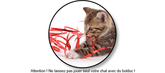 Occlusion Intestinale Du Chat Conseil Veto Illustre Catedog