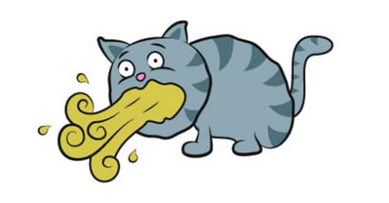 vomissement chez le chat conseil veto illustre catedog coloriage monstres