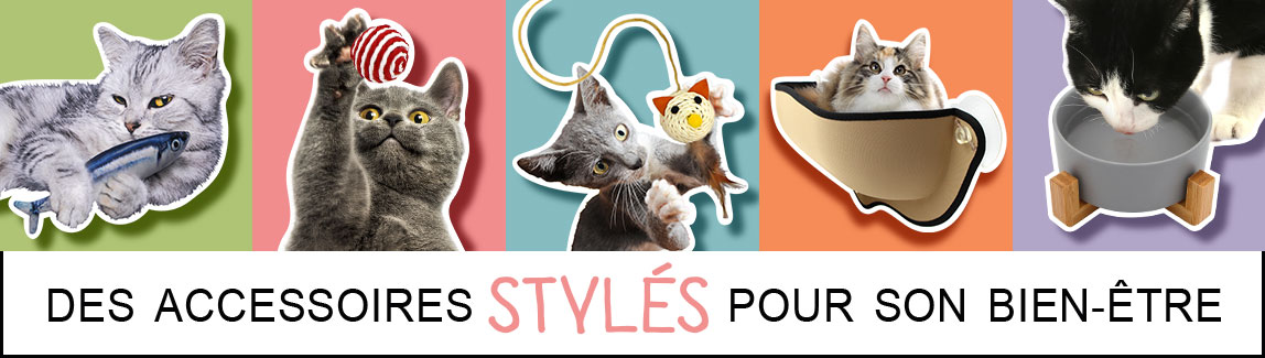 Boutique en ligne d'accessoires pour chat et chaton