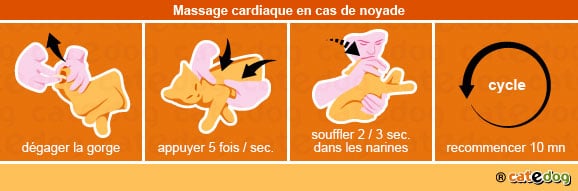 Massage chat Massage chat