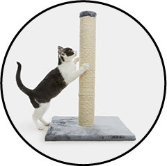 chat faisant ses griffes sur un griffoir vertical, haut et stable