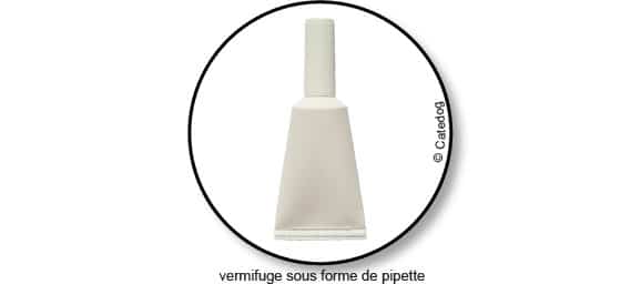 pipette-vermifuge-chat