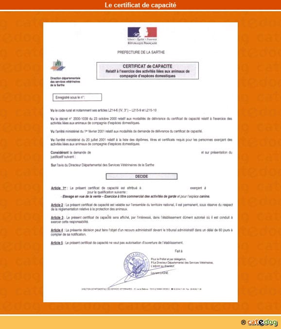 certificat-de-capacite_chat