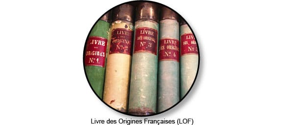 Livre-des-Origines-Francaises_LOF