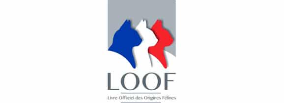 nouveau-logo-LOOF-chat