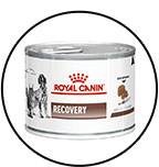 recovery-royal-canin