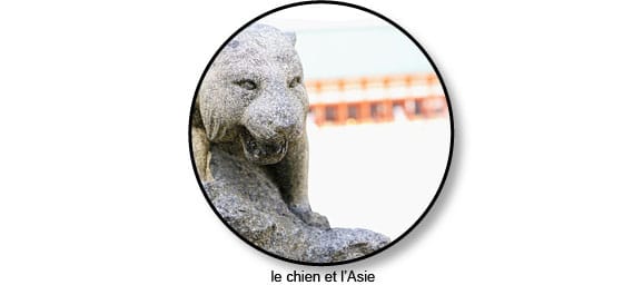 asie_chien