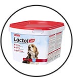 beaphat-lactol-lait-maternise-chiot