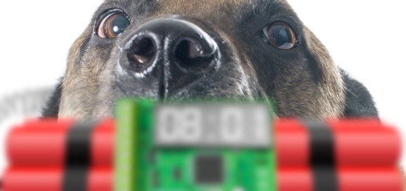 chien--bombe-terroriste