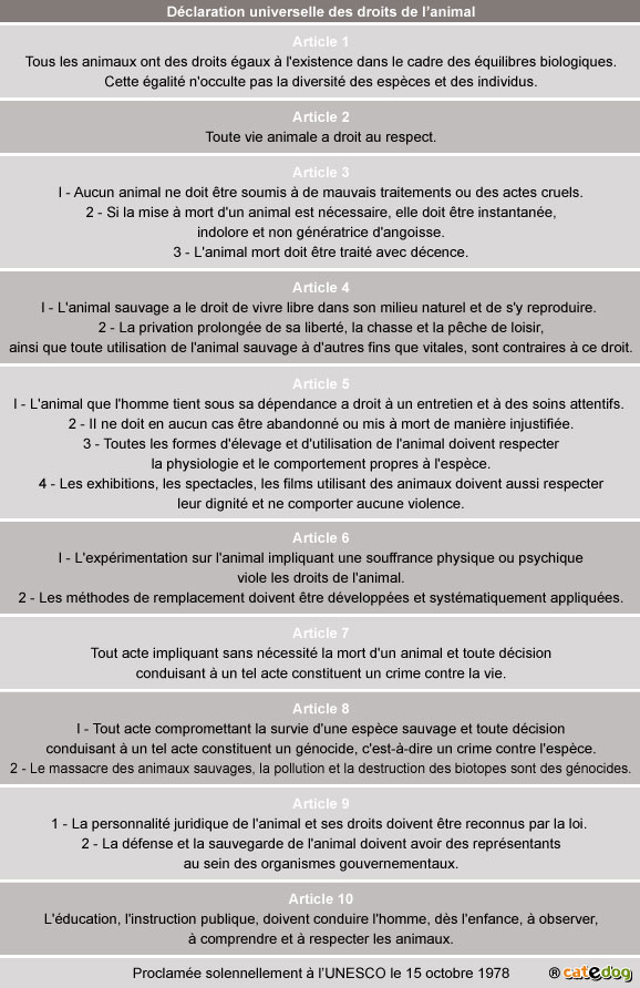 declaration-universelle-droits-animal_chien-chat_2