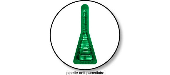 pipette-anti-puce-chat-chien