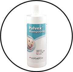 shampoing-pulvex-traitement-aoutat-puce-tique-chien