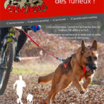 caninfurious-sport-canin-canicross-canimarche
