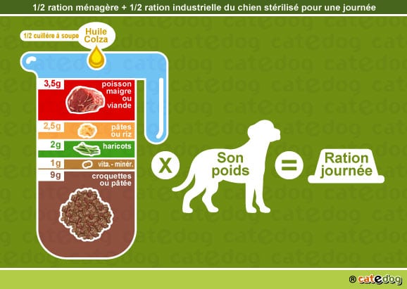 alimentation-ration-croquette-chien-castre-sterilise