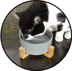 Gamelle pour chat en céramique refroidissante