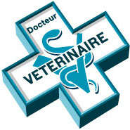 question-conseil-veterinaire-gratuit-chien-chat