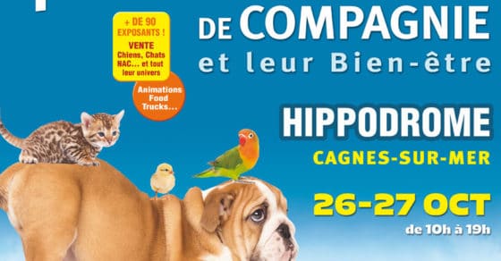 Salon Des Animaux De Compagnie De Cagnes Sur Mer 2019