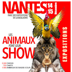 Exposition De Nantes Les Animaux Font Leur Show 2019