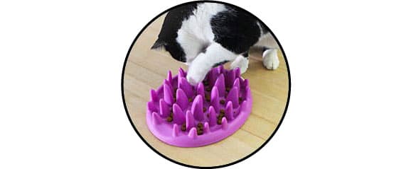 Bandeja de tazón anti-glutton para forzar al gato a comer lentamente