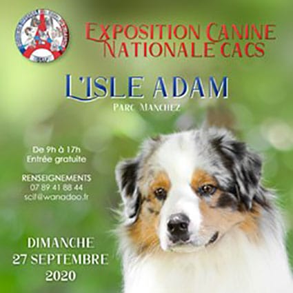 exposition chien 2020 - calendrier des expositions canines 2021