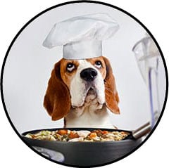Ration ménagère Dog Chef et alimentation chien maison