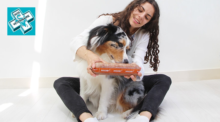 Dog Chef avis vétérinaire et code promo
