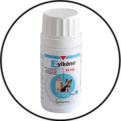 complement-alimentaire-anxiete-chat-chien