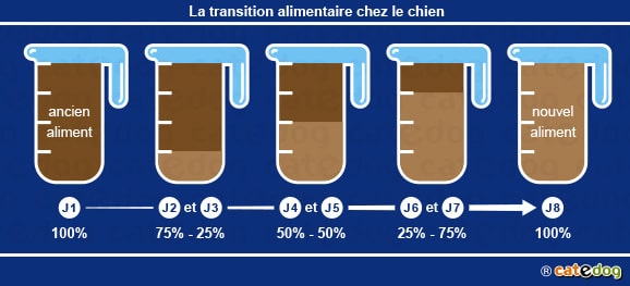 transition-alimentaire-tails-croquettes