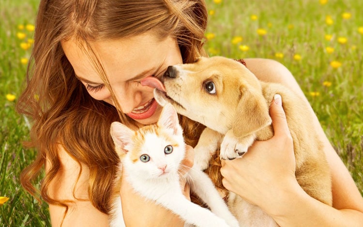 Formation aux métiers animaliers ACACED