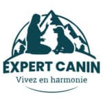 expert-canin-educateur-canin