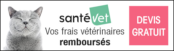 Assurance Santé Vet pour remboursement des frais vétérinaires pour le chat