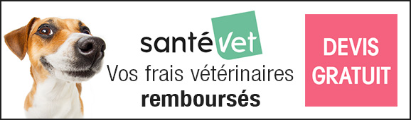 Assurance Santé Vet pour remboursement des frais vétérinaires pour le chien
