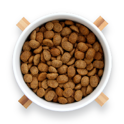 Tails croquettes pour le chien