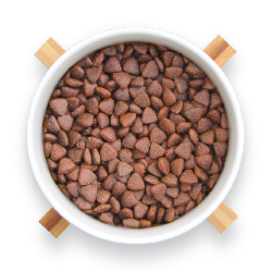 Croquettes Ultra Premium Direct pour le chien