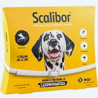 Collier Scalibor pour protéger le chien contre les mosutiques et la leishmaniose