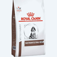 Croquettes Gastrointestinal Royal Canin pour chiot