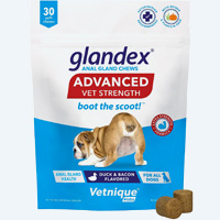Glandex en traitement pour vider les glandes anales du chien