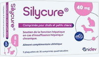 Médicament Silycure pour le chien et chat en insuffisance hépatique