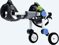Chariot orthopédique pour chien et chat souffrant d'arthrose