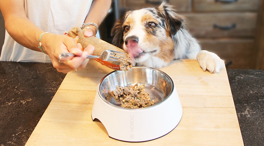 Dog Chef : Alimentation Naturelle et Fraîche pour Chien