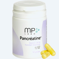 Médicament Pancréatine pour le pancréas du chien et chat