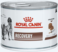 Pâtée Recovery Royal Canin pour chat et chien