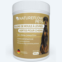 Poudre de moule à lèvres vertes pour le chien souffrant d'arthrose